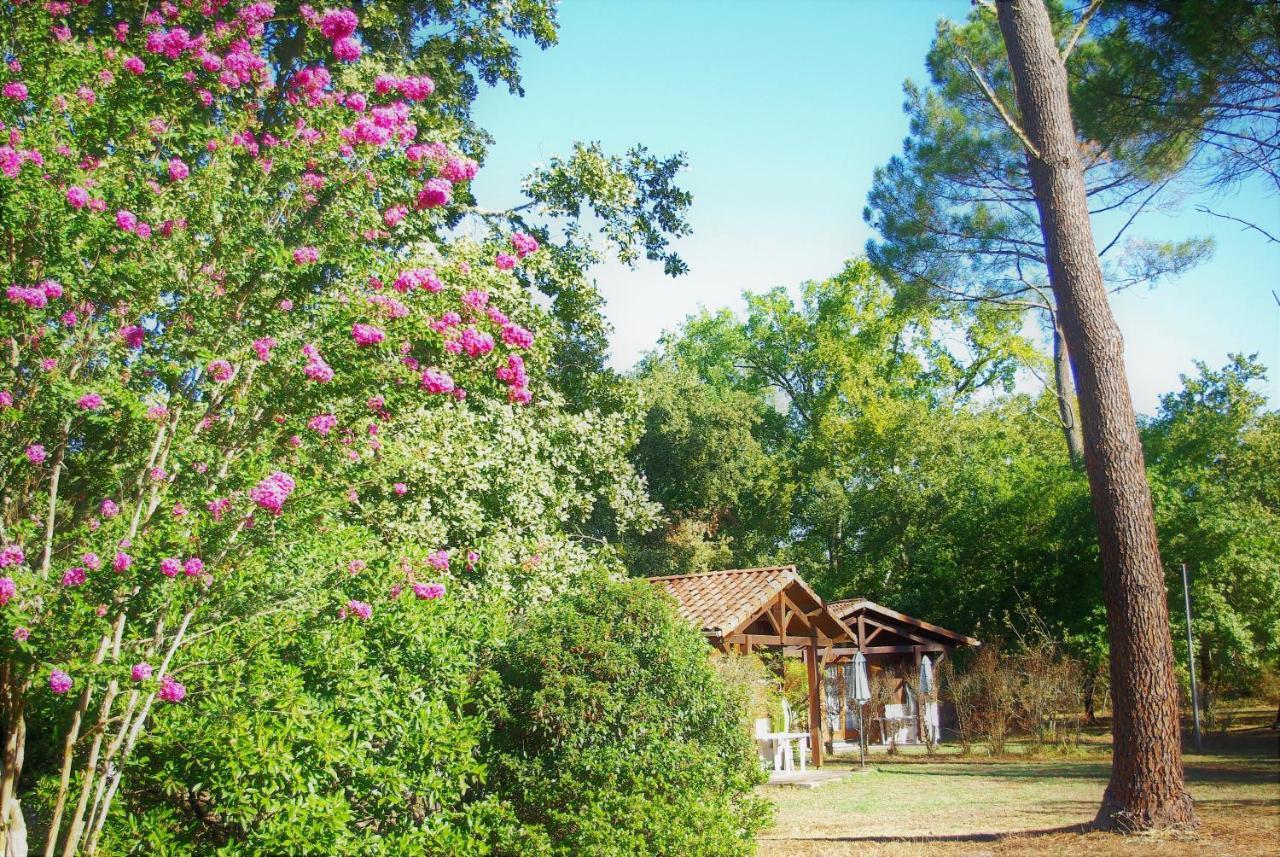 Les Chalets Du Gelat, Nature Et Calme Noaillan Dış mekan fotoğraf